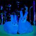 ANIMAL WELL (@animal_well) Twitter profile photo ANIMAL WELL (@animal_well) Twitter profile photo