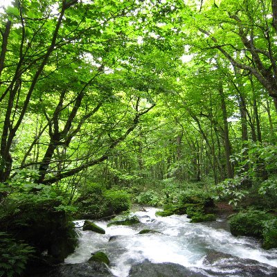 6ipqzWW9f7HfTZc's profile picture. のんびりぼちぼちやってます