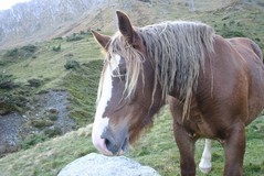 ASolidaire's profile picture. action-solidaire viens en aide aux associations grace à la publicité. Venez aider gratuitement en cliquant sur les pubs .