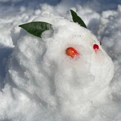 Kaarinto_krkr's profile picture. マイクラとかスプラやってます。pluginｶﾀｶﾀしたい。気分で適当なこと呟くかも