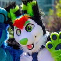 🐺Felix the wolf🐾 (@felixthewolfy) 's Twitter Profile