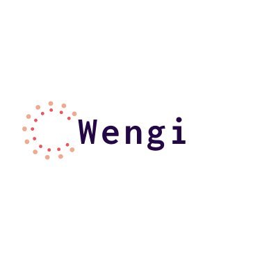 Wengi_Org's profile picture. A tech solution for every social challenge