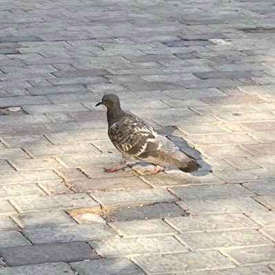 Sweetblood03's profile picture. 