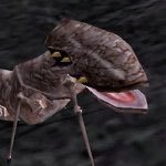 kwamacuttle's profile picture. https://t.co/ZiYtJhVMIS ܡ_ܡ 🇵🇸