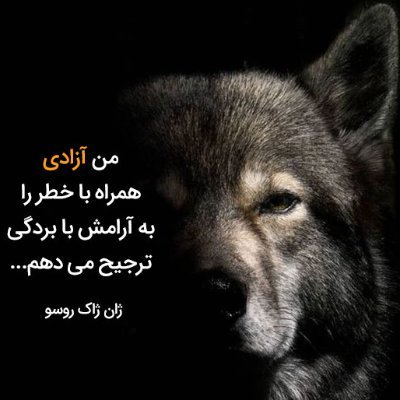 کنار ما باش که محزون در انتظار بهاریم
کنار ما باش که با هم خورشیدو بیرون بیاریم