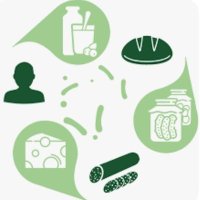 COST PIMENTO (@pimentoca20128) 's Twitter Profile Photo