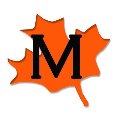 mapleleafdesign's profile picture. Maple Leaf Designs manufacture and install children’s outdoor play equipment here in the UK.