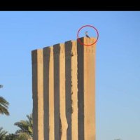 الحبشي (@lbsy75929947) 's Twitter Profile
