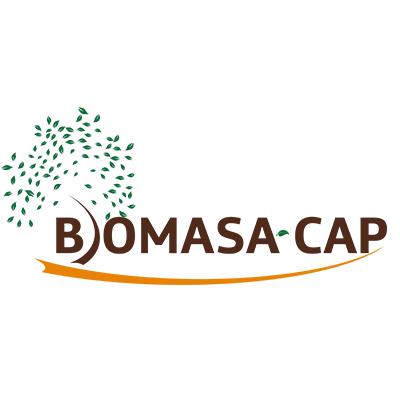 Biomasa CAP está cofinanciado por el Fondo Europeo de Desarrollo Regional (FEDER) a través del Programa Interreg V-A España-Portugal (POCTEP) 2014-2020.