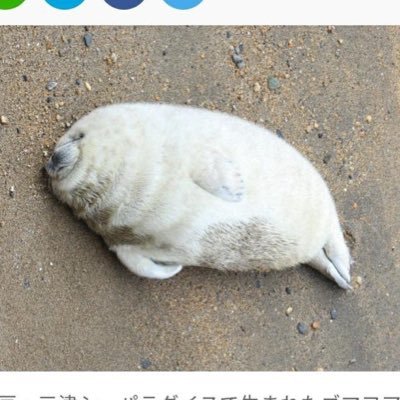 mmxHDISPnatu's profile picture. 裏垢はじめました