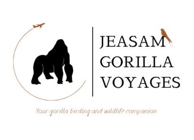 We offer the best gorilla, birding and wildlife tours in Uganda and East Africa where we are licensed to operate.  Visit https://t.co/C78ZIw5Le3