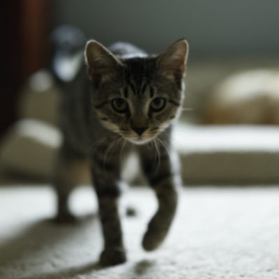 wscotthinds's profile picture. 