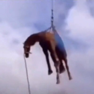 gilbert_franc1's profile picture. 