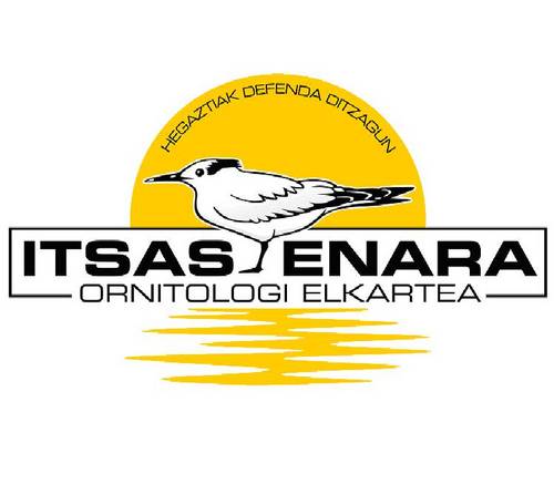 ItsasEnara's profile picture. 1992an sortutako elkarte ornitologiko independentea.

Sociedad ornitológica independiente creada en 1992.