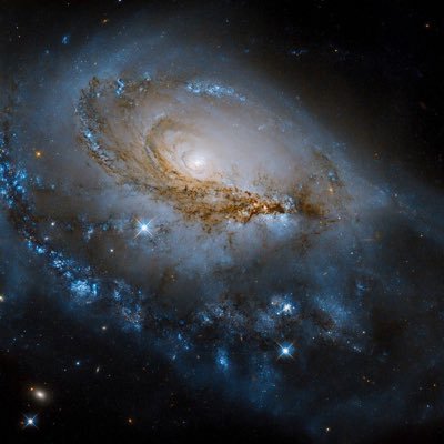 yk_shobi's profile picture. 