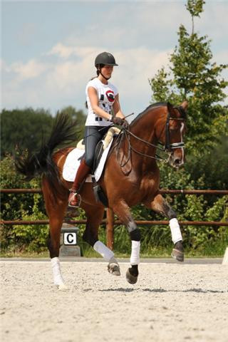 RVAaRuiters's profile picture. 