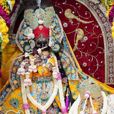 श्री बाला जी एशोसिएशन ।
अधिवक्ता एवम बैनामा लेखक संघ ।
सिविल कोर्ट तहसील कम्पाउंड जेवर ।
जनपद गौतम बुद्ध नगर उत्तर प्रदेश ।
संजय शर्मा ,