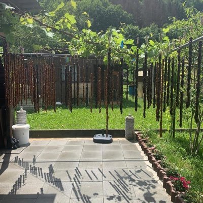 DiyarGcr's profile picture. 