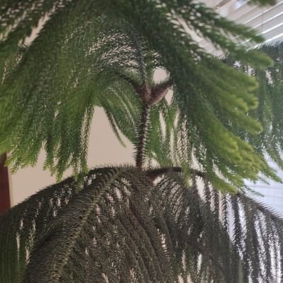 AtaL13851393's profile picture. 