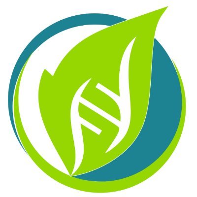 LifeCodeLS's profile picture. 