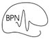 Biological Psychology and Neuropsychology Lab (@bpn_unihh) Twitter profile photo