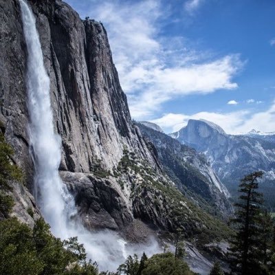 OpenUpLifeblog's profile picture. 