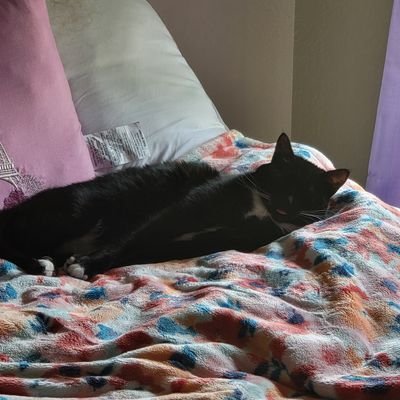 ChahnOtaku's profile picture. I love video games, watching videos on YouTube and playing with my cats and dog.