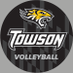 Back to Back to Back CAA Champs (@Towson_VB) Twitter profile photo