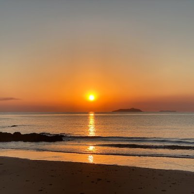 sunriselater's profile picture. 