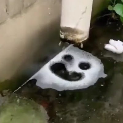 Losophy6's profile picture. 