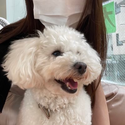 💊地方私立薬学部→第101回薬剤師国家試験→病院薬剤師🥼→ちょっとニート→商社→製造管理者 皆様のツイートで勉強させていただいております。医薬品製造業/添加剤/GMP/ICH/投資/英語/TOEIC/外資系/美容/ファッション/旅行/海外/LONDON🇬🇧