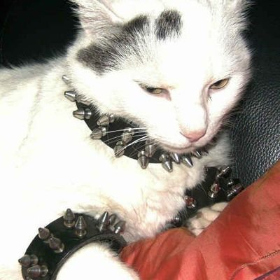 GhostPeaces's profile picture. 🖤if i can't change my fate, then i will destroy it ⚔️