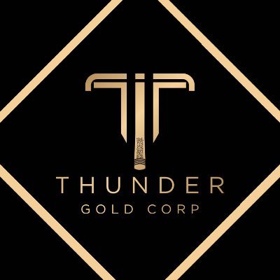 tgoltsxv's profile picture. The Right Project, The Right Time & The Right Team - Tower Mountain Gold Project.