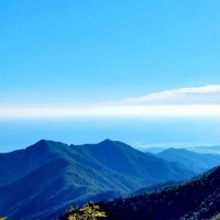 청연 (@cheongyeon19) 's Twitter Profile