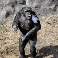 Ty Lovcik (@tylovcik) 's Twitter Profile