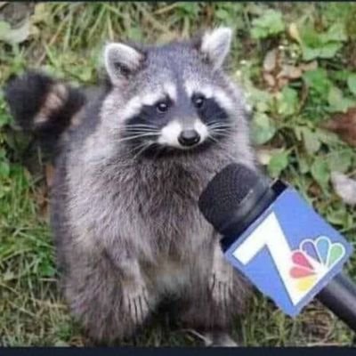 BadMantle's profile picture. I'm still down bad