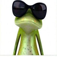 IgnoreF (@ignoref3) 's Twitter Profile Photo IgnoreF (@ignoref3) 's Twitter Profile Photo