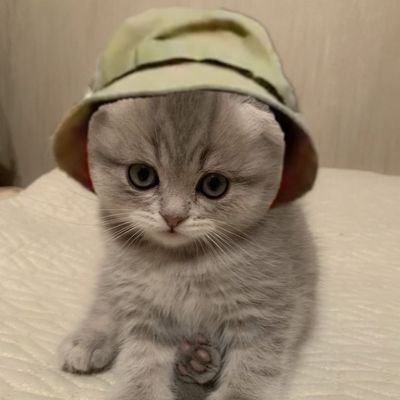 Ilmiahsiti11's profile picture. 