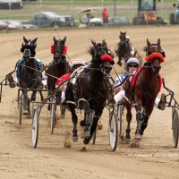 Ohio Harness Horsemen's Association (@harnessracingoh) 's Twitter Profile Photo Ohio Harness Horsemen's Association (@harnessracingoh) 's Twitter Profile Photo