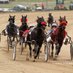 Ohio Harness Horsemen's Association (@harnessracingoh) Twitter profile photo Ohio Harness Horsemen's Association (@harnessracingoh) Twitter profile photo