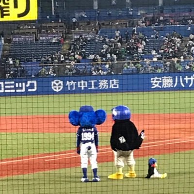 さふらんさんのプロフィール画像