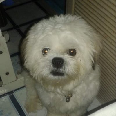 nkkkking's profile picture. winwinwin