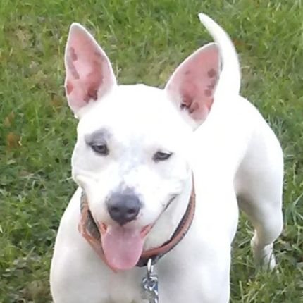 RicRemington1's profile picture. 