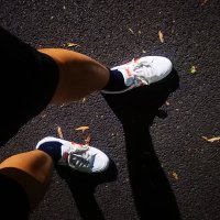 DinoDeer (@xdinodeer) 's Twitter Profile Photo