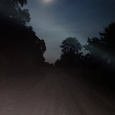 Friendly0Dan's profile picture. 