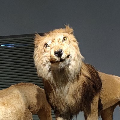 www202216's profile picture. 