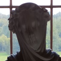 Some Bird ⛈️ (@oopsydaisydo) 's Twitter Profile