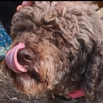 JackyChound's profile picture. https://t.co/tbPo6uvT8S