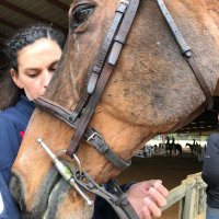 Liset Whaley (@lisetwhaleymkb) 's Twitter Profile