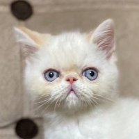 john (@economusics) 's Twitter Profile